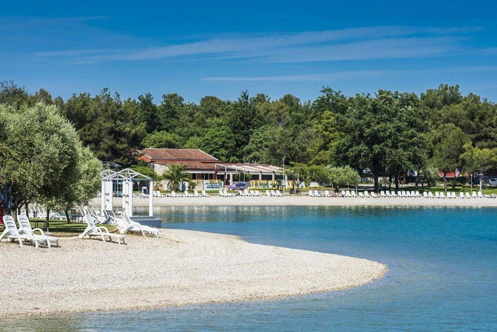 Apartman Violetta-punta